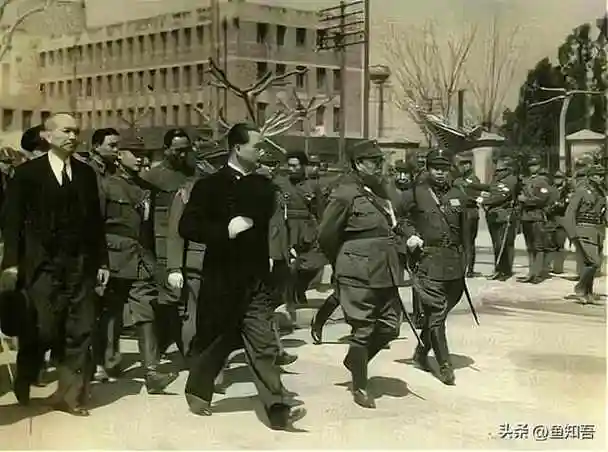 细说汪伪国民政府的主要陆军部队