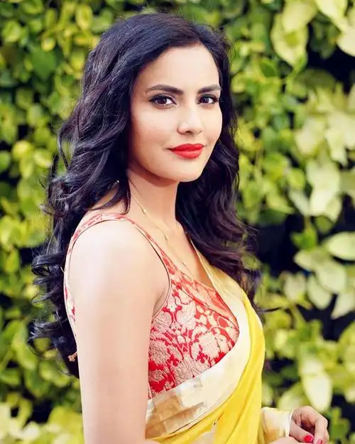 世界上最美印度女神(印度国宝级女神)(9)