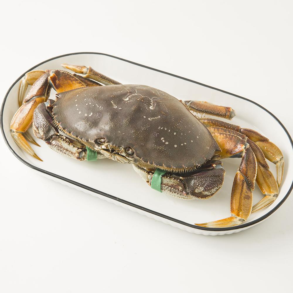 【供货商直发】加拿大鲜活珍宝蟹 700-800g