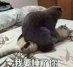 耍流氓表情包|你要把你摁到墙上亲,听到没