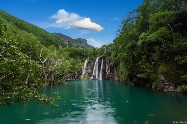 爱上大自然的一抹绿,轻松玩转森林秘境,打卡8处国内最美森林
