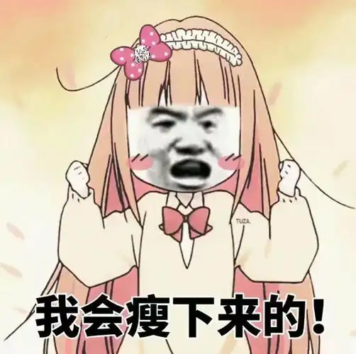 我会瘦下来的! - 斗图表情包 - 斗图神器 - adoutu.com