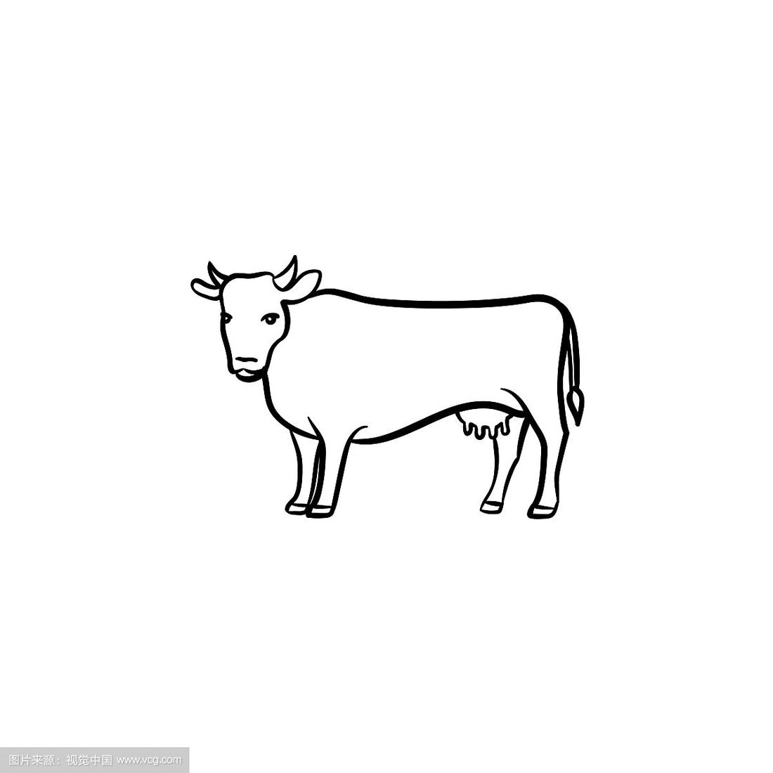 牛手绘素描图标