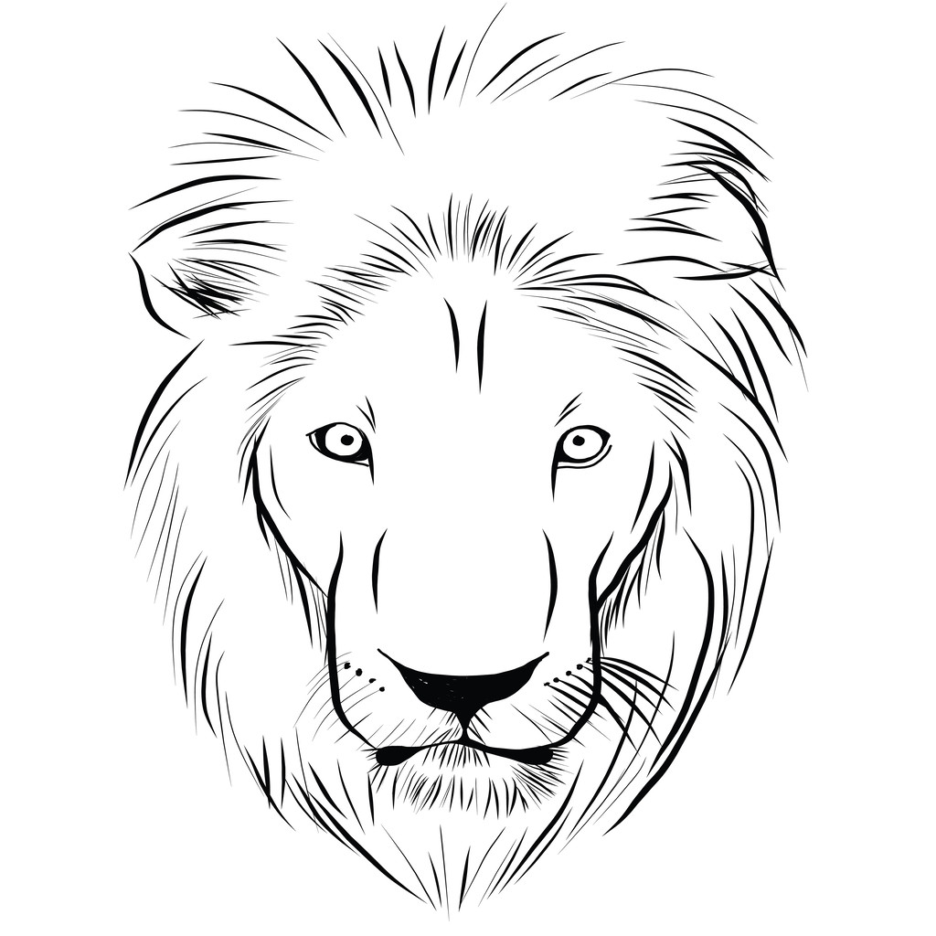 狮子手绘的头,狮子手绘的头