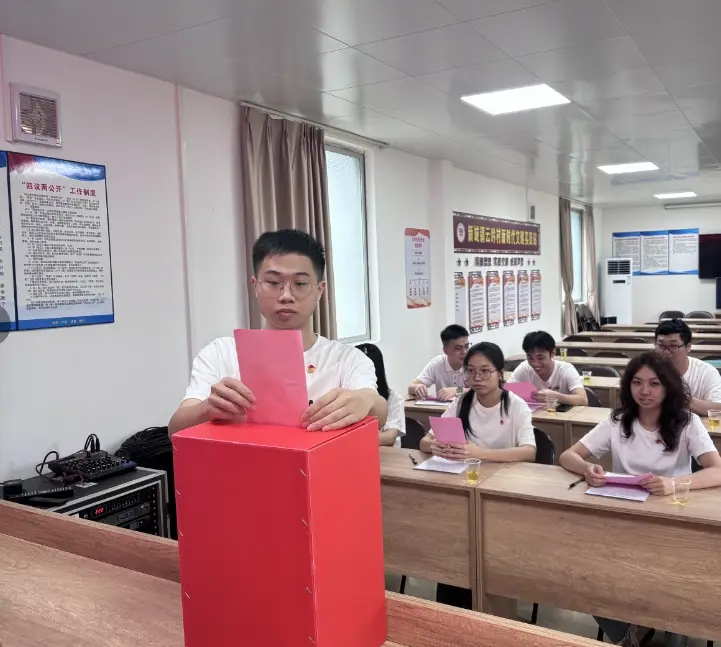 新城镇云吟村团支部圆满完成换届选举工作!