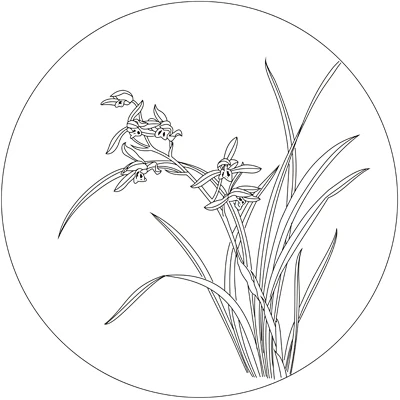 兰花白描底稿工笔画线描底图国画黑白画稿作业画花鸟底稿电子版-淘宝