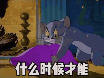 126张猫和老鼠表情包gif