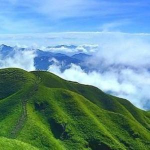 大山7965691054881头像