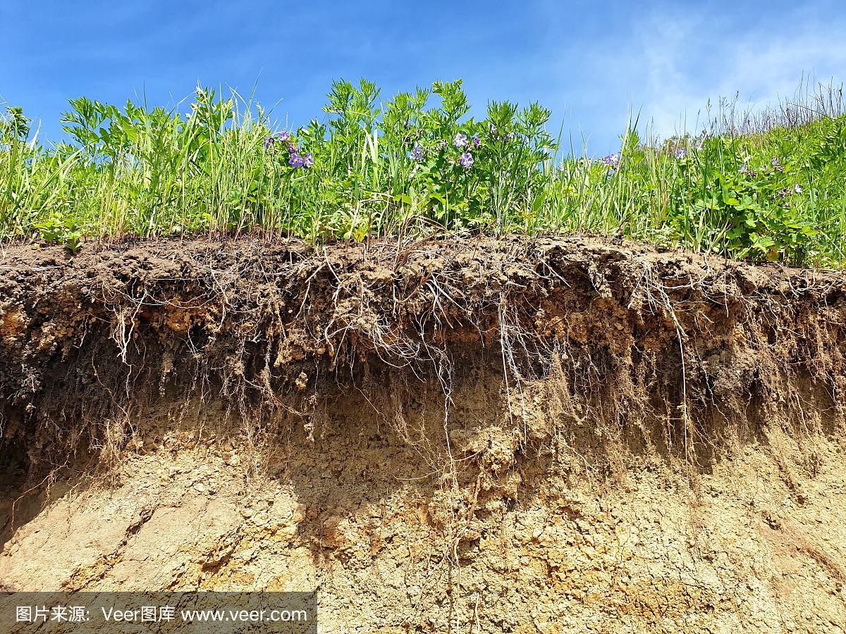 因滑坡而造成的土壤切割