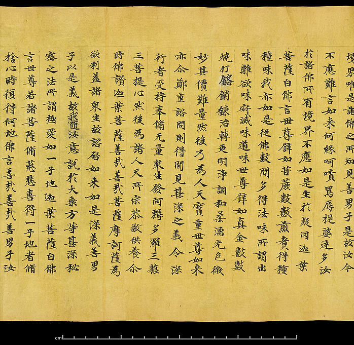 敦煌遗书大英图书馆s5296大般涅盘经卷第十六024