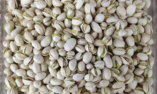 银杏果是开心果的原料吗