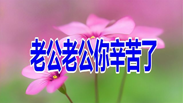 老公老公辛苦了2_百度视频搜索