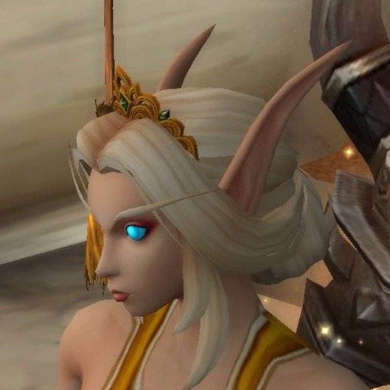 你们魔兽世界游戏里见过的最美的血精灵是什么