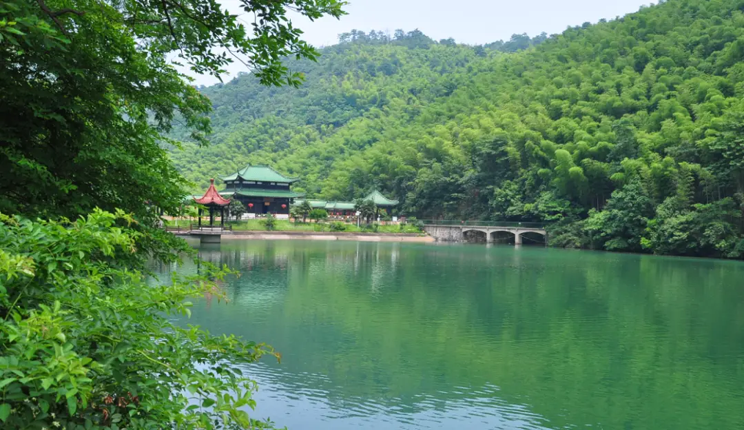 于宜兴竹海,享江南雅韵_风景