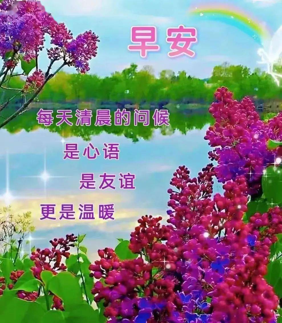 【早安馨语】每日清晨的问候是心语是友谊,更是温暖