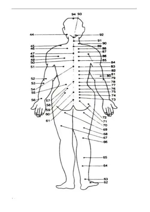 人体背部拔罐穴位图