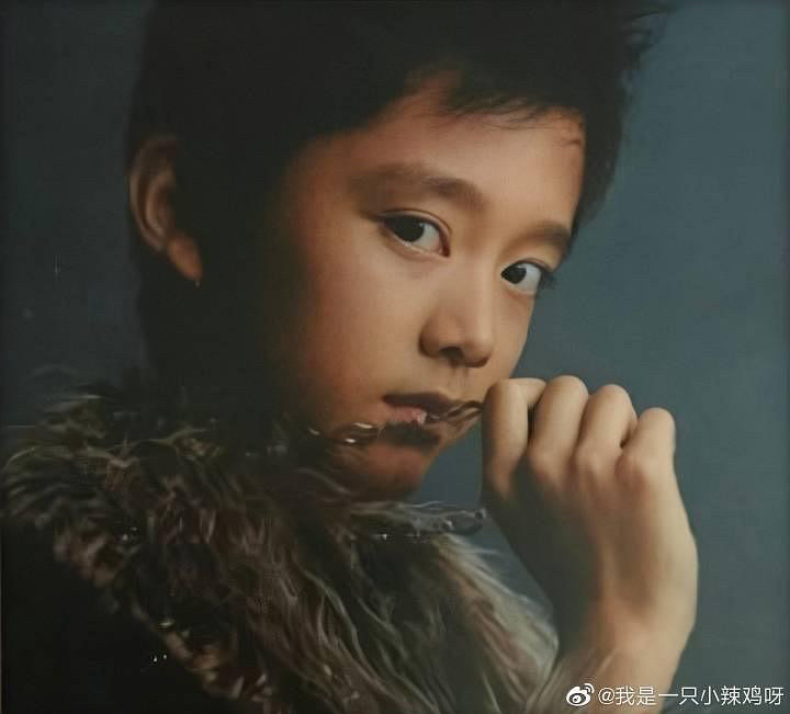 你为什么喜欢张新成张新成童年照撞脸谭松韵奇妙的缘分