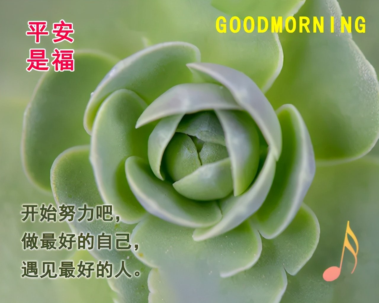 清晨最美早上好动态祝福图片带字早上好阳光励志问候语