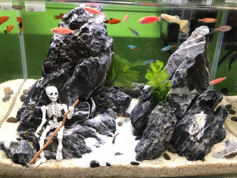 精选青龙石酸洗造景鱼缸装饰小假山山石鱼池制作奇石景造石石青龙 未