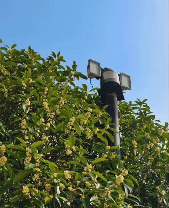 高清大图来袭长江大学最美校花亮相