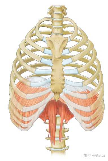 跟随4个音乐学院教授上声乐课, 不同的教授有不同