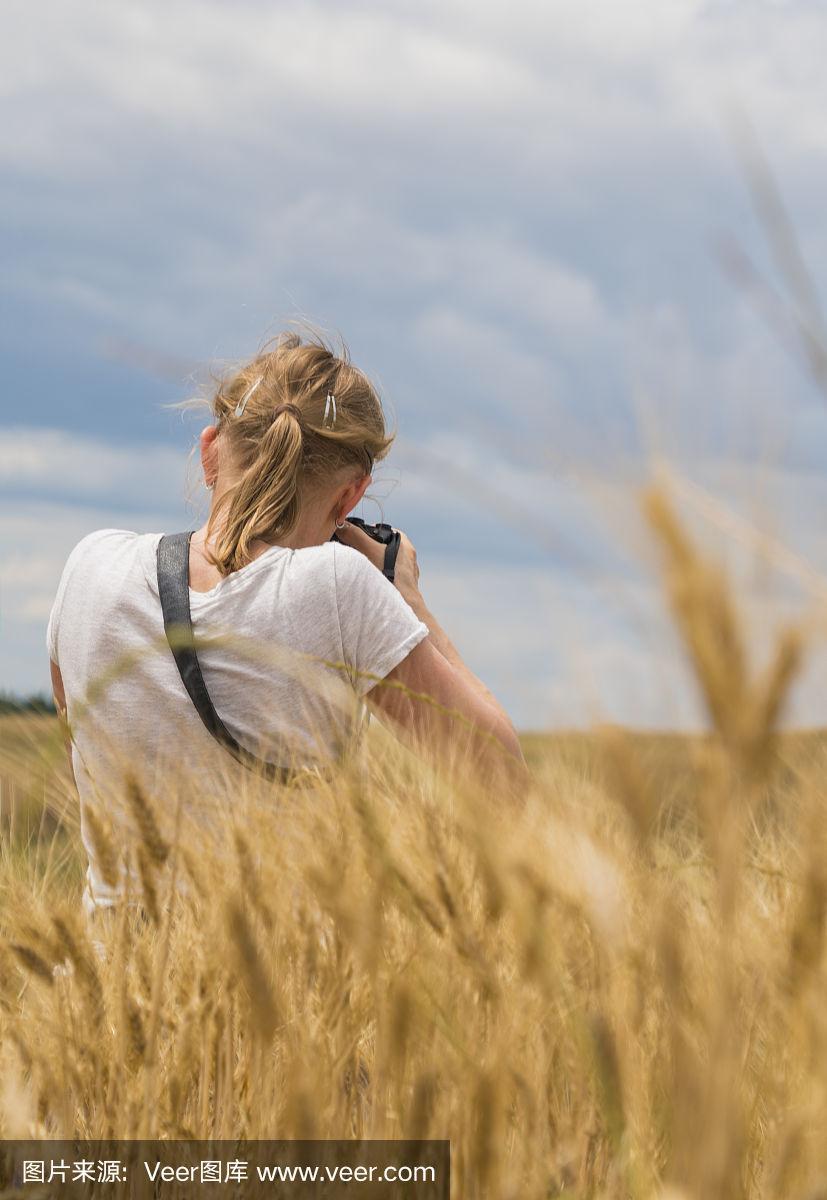 在欧洲意大利的麦田里拍摄托斯卡纳风景时,老女人看着照相机的背影