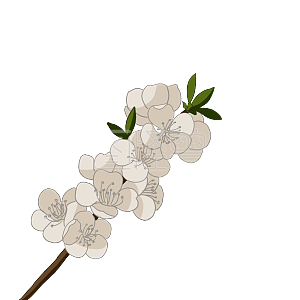 图怪兽原创元素清明女孩手拿杏花画元素详情中国风杏花详情"