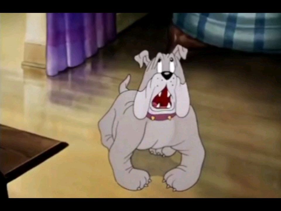 猫和老鼠云南方言版老冬瓜被大洋芋和小米渣作弄.