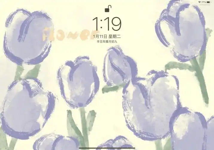 又有谁能拒绝郁金香呢#ipad桌面整理  #ios桌面整理  #ipad壁纸 #ios