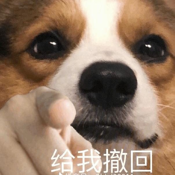 谁有二哈指人的表情包